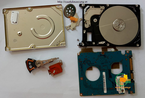 Cứu dữ liệu ổ cứng bị kiến vô